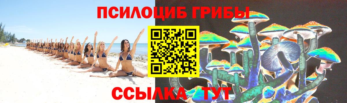 Нижнекамск  Псилоцибиновые грибы мицелий  Вход с VPN 